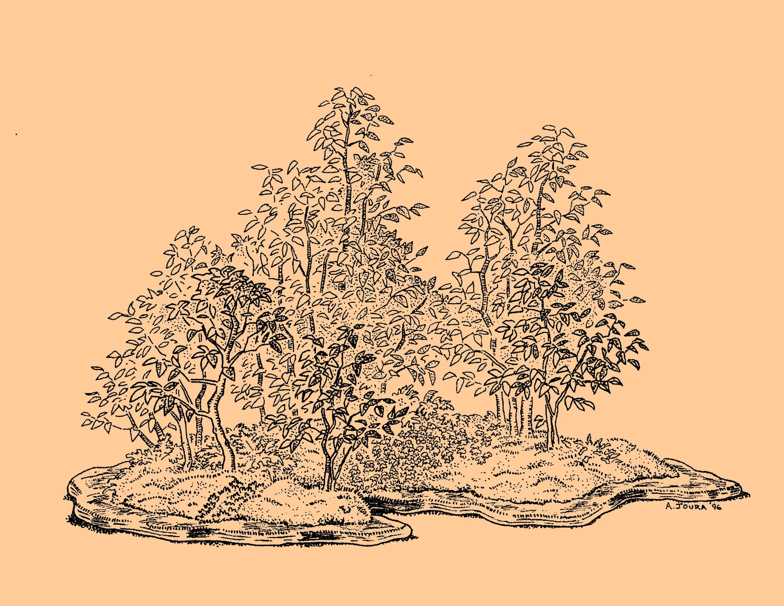 未開封　奈良美智　UNDER THE TREE No.YNF4248 - Under the Tree 2006 | YOSHITOMO NARA The Works